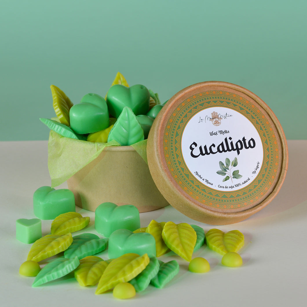 Eucalipto