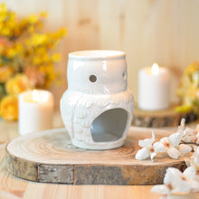 Cargar imagen en el visor de la galería, Quemador Búho iridiscente
